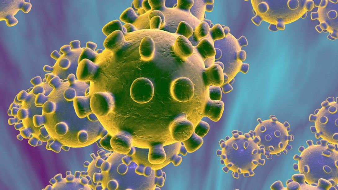 Covid-19 ve Pandemik İnfluenza Eylem Planı